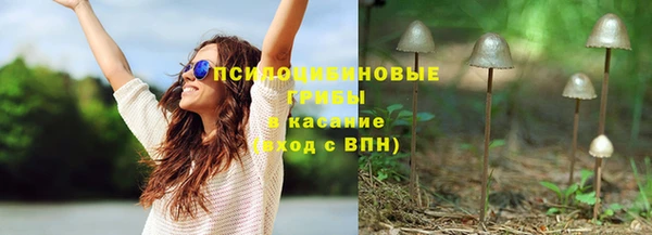 PSILOCYBIN Вязники