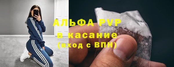 PSILOCYBIN Вязьма