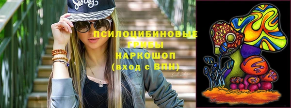 PSILOCYBIN Вязьма