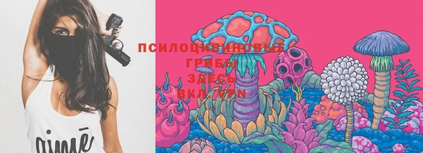 PSILOCYBIN Вязьма