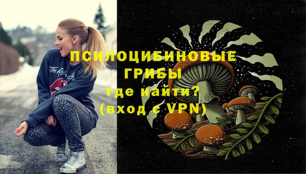 PSILOCYBIN Вязьма