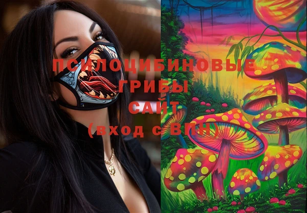 PSILOCYBIN Вязьма
