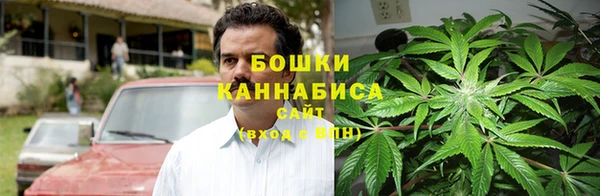 PSILOCYBIN Вязники