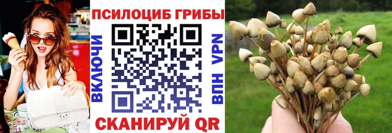 Псилоцибиновые грибы мухоморы  купить наркоту  Оха 